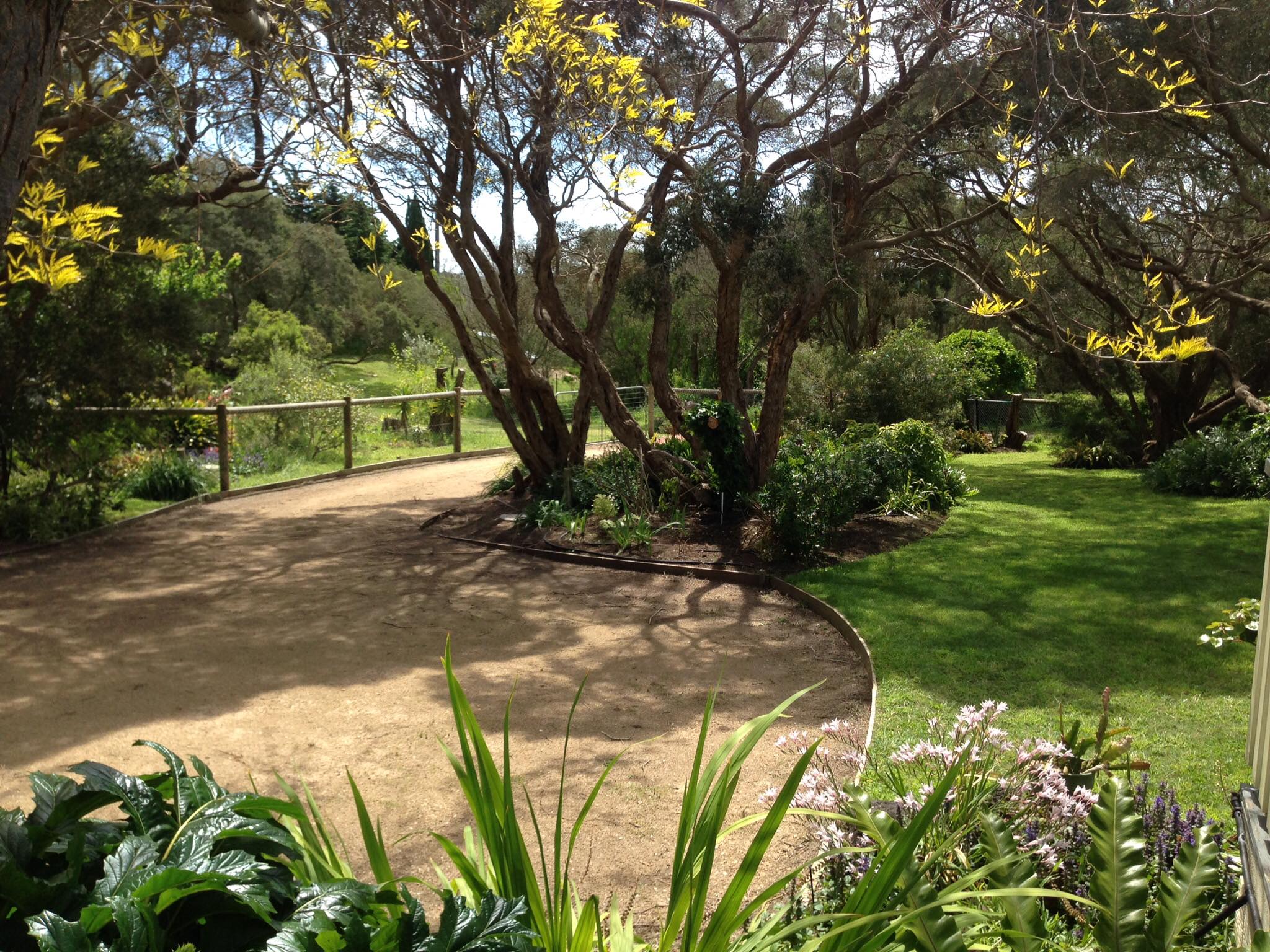 Dune Landscaping - Garden & Property Services