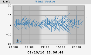 Wind Vector